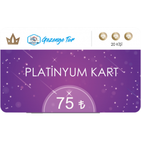Platinyum Kart