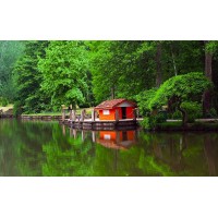 Fotoğrafçıların Buluşma Noktası Atatürk Arboretumu…