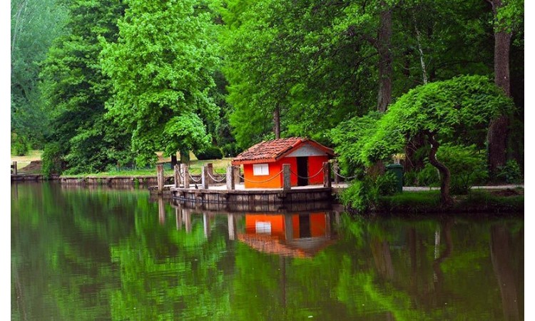 Fotoğrafçıların Buluşma Noktası Atatürk Arboretumu…